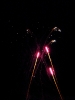 Feuerwerk von Frank Wendzik