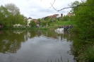 holbluefest_2013 (45)