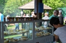 Hollerfest 2016 (78)