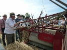 Anbindern_261