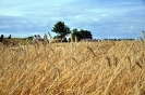 Anbindern_046