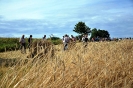 Anbindern_047