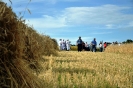 Anbindern_081