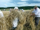 Anbindern_257
