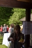 Holunderblütenfest_004