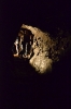 fledermausabend_6