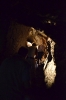 fledermausabend_7