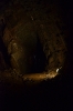 fledermausabend_9