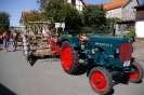 Altstadtmarkt Sonntag_385