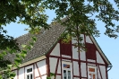 Altstadtmarkt Sonntag_192