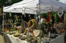 Altstadtmarkt Sonntag_221