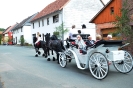 pfingsten_2012_195