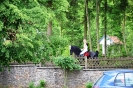 pfingsten_2012_225