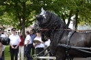 pfingsten_2012_146