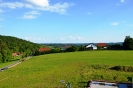pfingsten_2012_260