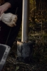 Eingangstafeln_004