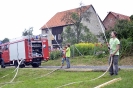Hopfenwasser_003