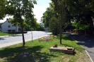 kunst_fuers_dorf (68)