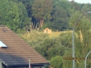 kunst_fuers_dorf (106)