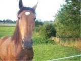 Galeriebild 3