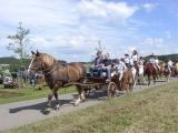 Galeriebild 7