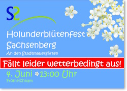 Hollerfest 2026 Ausfall